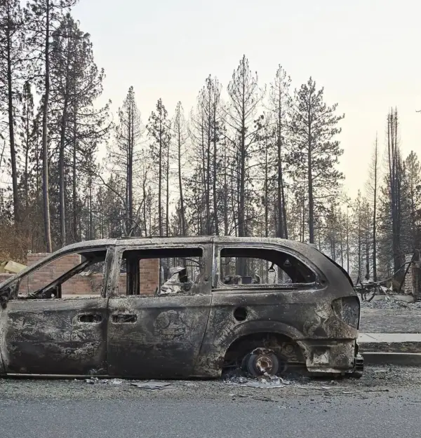Burned down to the rims where it was parked. The brick garden wall behind it came through.