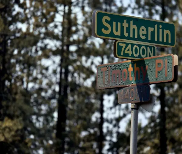 Street signs still up at the 7400 north block. The pines behind them are burned to the crown.